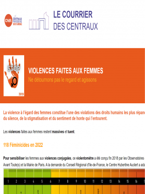 VIOLENCES FAITES AUX FEMMES