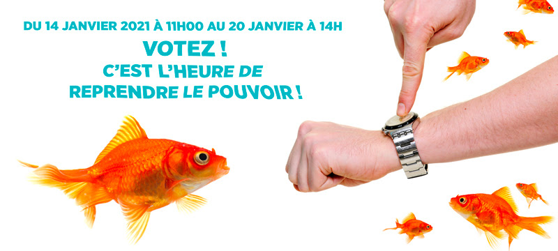 Votez ! C'est l'heure de reprendre le pouvoir !